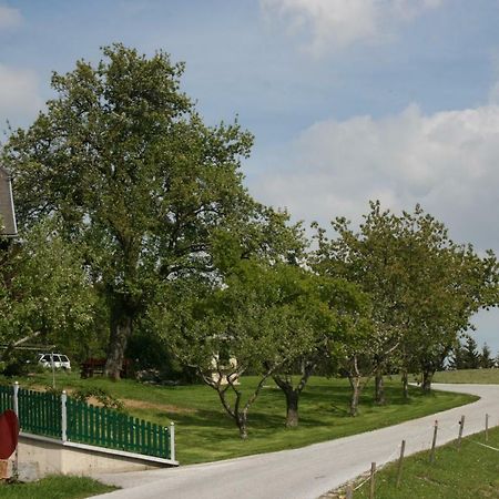 Bauernhof Hoenigshof Fischbach Exterior photo