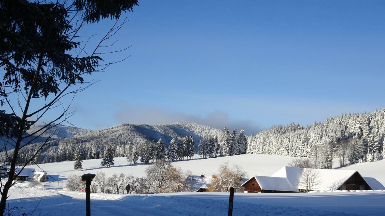 Bauernhof Hoenigshof Fischbach Exterior photo